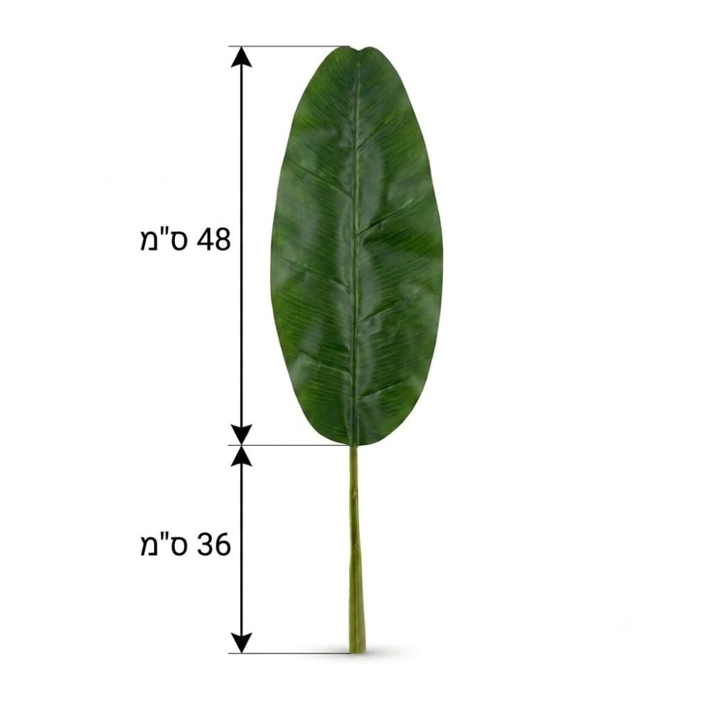 עלה בננה מלאכותי מידות